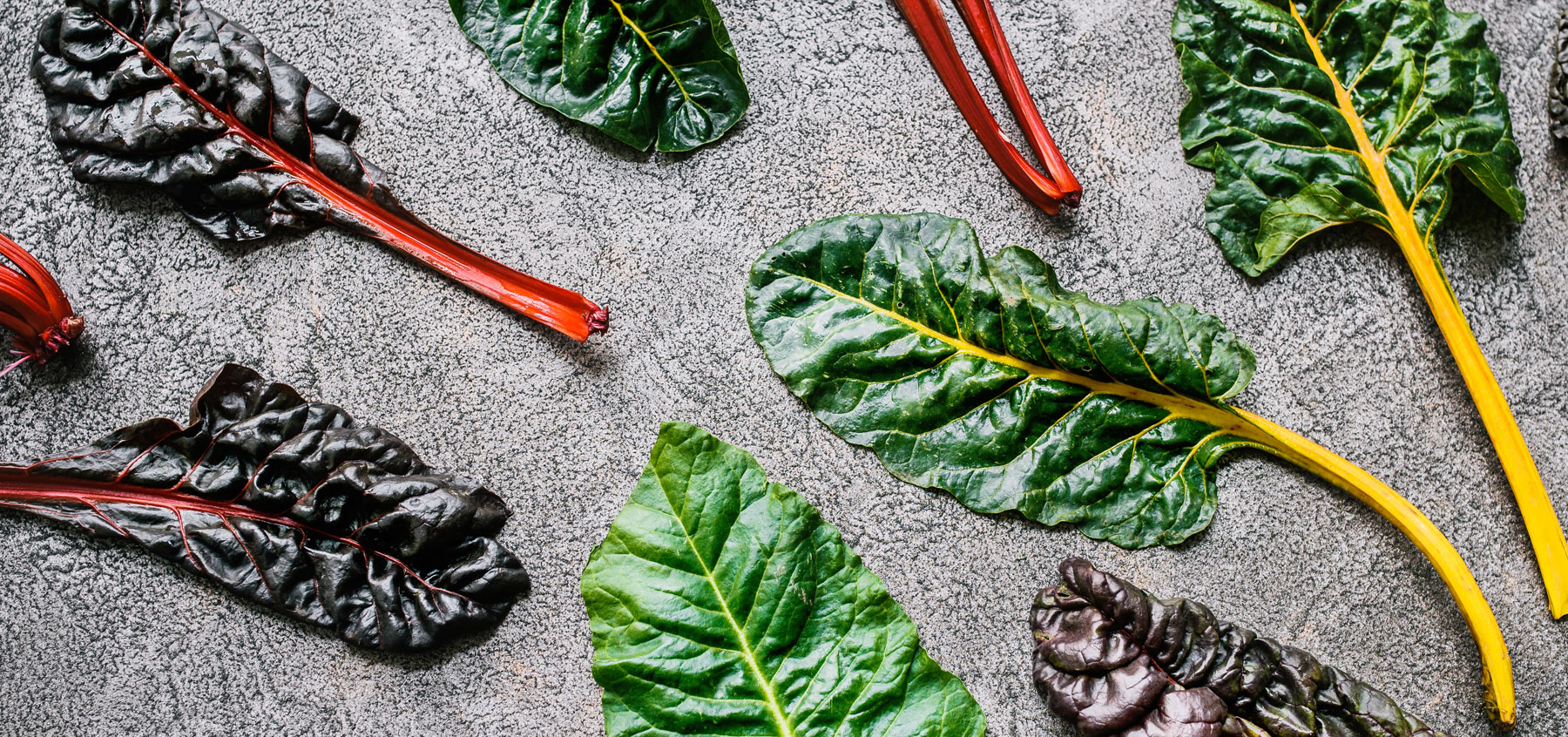Quick guide to lactogenic foods