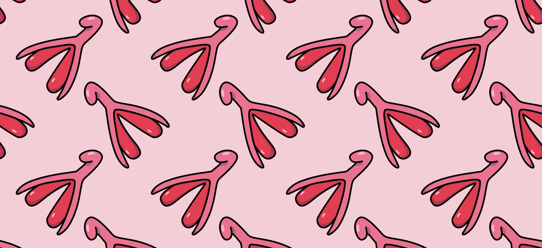 Everything you need to know about the clitoris