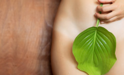 Flora, fauna, and your vagina: understanding your vaginal microbiome