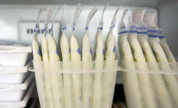 The insurance market for breastfeeding