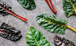 Quick guide to lactogenic foods