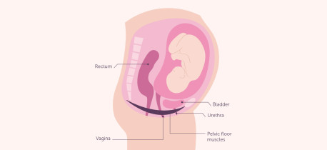 Pregnancy Sex Myths Debunked