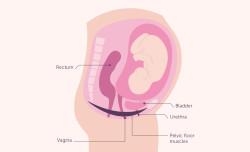 Pregnancy Sex Myths Debunked