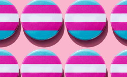 Transgender Awareness Week: time to educate ourselves